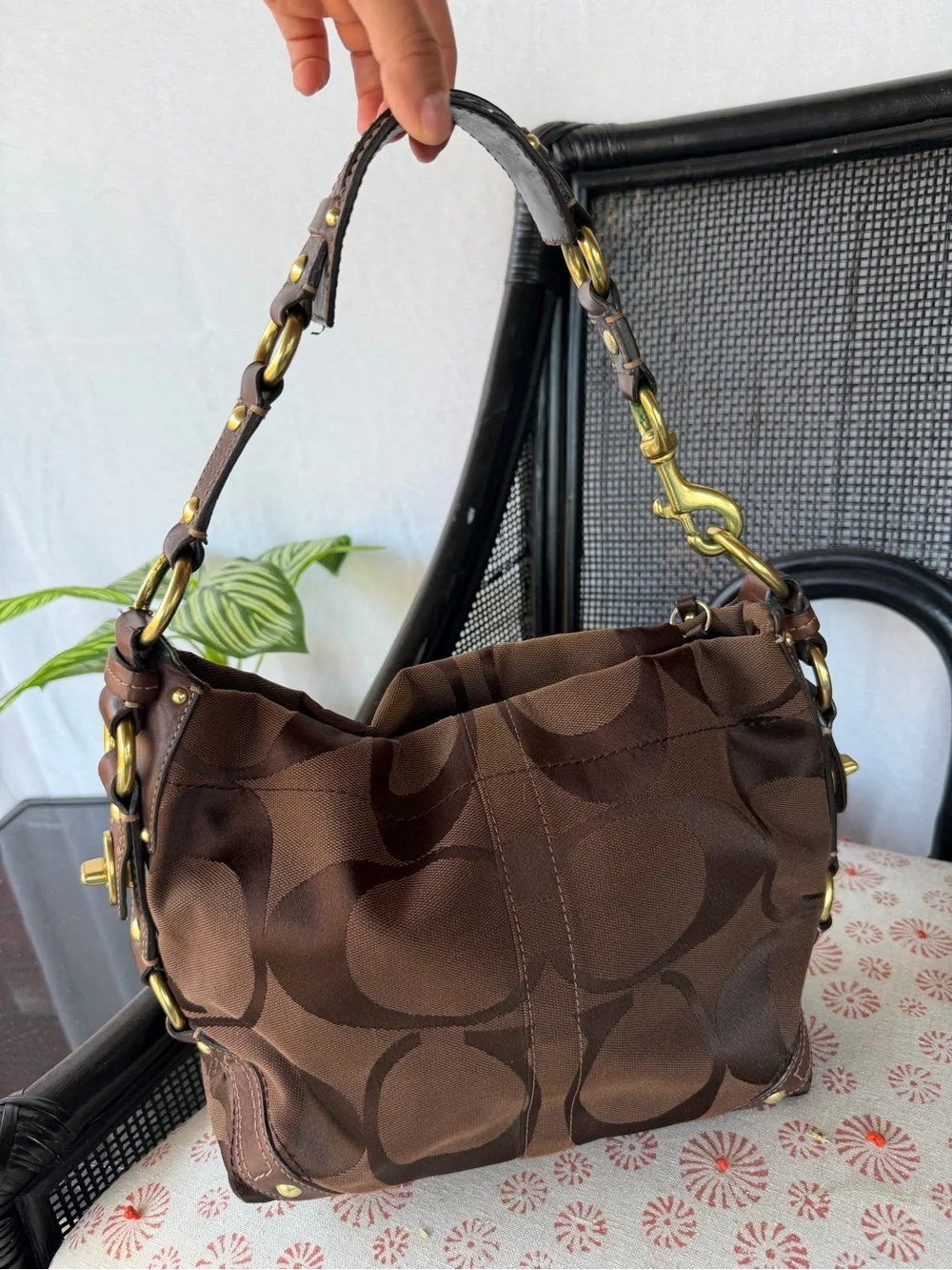 Coach stylish brown